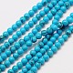 Synthetic Chinese Turquoise Bead Strands G-A130-2mm-L06-1