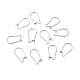 316 boucles d'oreilles en acier inoxydable chirurgical accessoires fils d'oreille rénaux X-STAS-E009-6-4