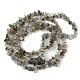 Natural Labradorite Beads Strands G-G0003-B32-3