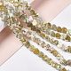 Drawbench Style Natural Freshwater Shell Beads Strands SHEL-F003-03-2