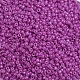Baking Paint Glass Seed Beads SEED-US0003-2mm-K21-3