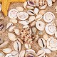 CHGCRAFT about 200pcs Mixed Ocean Sea Shells Natural Seashells Spiral Shell Beads for Fish Tank BSHE-PH0001-11-5