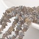 Puce labradorite naturelle brins de perles G-M349-11-1