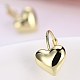 Classic Tin Alloy Leverback Earrings EJEW-BB20927-3