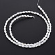Natural Freshwater Shell Beads Strands SHEL-N027-08A-3