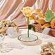 Benecreat 4 Stück 2 Stil transparente Kunststoff-Blumennadel-Frösche FIND-BC0004-57-4