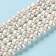 Natural Cultured Freshwater Pearl Beads Strands PEAR-E018-15-2