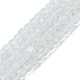 Natural Rainbow Moonstone Beads Strands G-F748-Z01-01-2