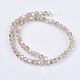 Electroplate Glass Beads Strands LAMP-F012-C01-2