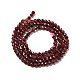 Natural Garnet Beads Strands X-G-I341-09B-3