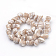 Natural Trochid Shell/Trochus Shell Beads Strands SSHEL-Q301-01C-2