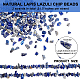 ARRICRAFT Natural Lapis Lazuli Chip Beads Strands G-AR0003-07-2