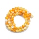 Fili di perline di conchiglia giallo dorato naturale SSHEL-G024-01B-2