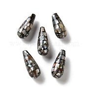 Бусины из натуральной ракушки пауа SSHEL-B002-10B-02