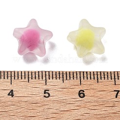 Матовые прозрачные акриловые бусины&nbsp;OACR-A032-13A