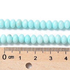 Нити бусин из натуральных пресноводных ракушек SSHEL-C013-07B