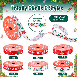 6 Rolle&nbsp;OCOR-TA0003-43
