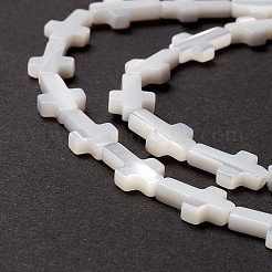 Бусины из натуральных трохоидных/трохус ракушек SSHEL-O0001-22A