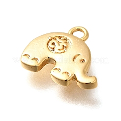 Латунные подвески&nbsp;KK-K294-01G