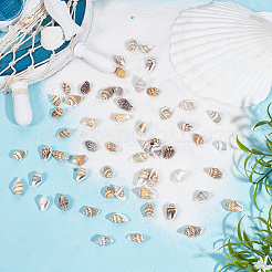 400 шт. бусины из ракушек BSHE-GO0001-05