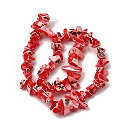 Нити бусин из натуральных трохоидных/трохус ракушек SHEL-B003-02I