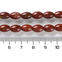 Натуральные красные яшмы бусы пряди G-I369-B12-01