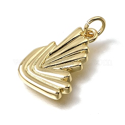 Messing Anhänger & Charms&nbsp;KK-C262-30G