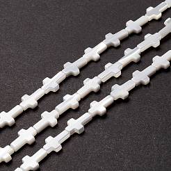 Бусины из натуральных трохоидных/трохус ракушек SSHEL-O0001-22A