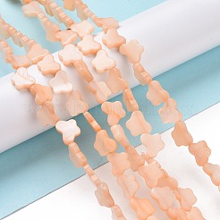 Нити бусин из натуральных пресноводных ракушек SHEL-H002-02