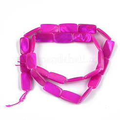 Perles de coquille d'eau douce peintes&nbsp;SHEL-T010-04