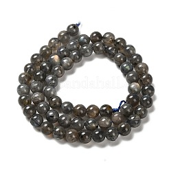 Натуральные черные лабрадоритные бусинки G-C205-A01-6mm