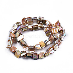 Нити бусин из натуральных пресноводных ракушек SHEL-N026-211