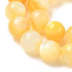 天然な黄色のシェルビーズ連売り  スムーズなラウンド  ゴールド  8mm  穴：1mm  約49個/連  14.96インチ（38cm）&nbsp;SH-CBACA76-16B