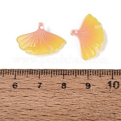 Pendentifs en acrylique thermorétractable&nbsp;OACR-N164-09