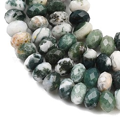 Натурального дерева агат бисер нитей&nbsp;G-C259-A34-5x8mm