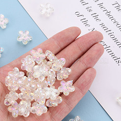 Прозрачные акриловые бусины TACR-S154-45C-205