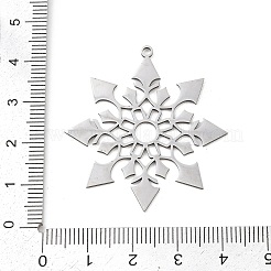 Рождество 201 подвески из нержавеющей стали STAS-C156-01W-P