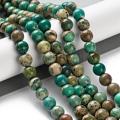 Нити бусин из окрашенного натурального регалита/императорской яшмы/морского осадка яшмы&nbsp;G-B124-C01-10