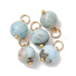 Natürliche Larimar Anhänger&nbsp;PALLOY-JF05255