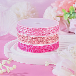 Cordon tressé en polyester 10.5 couleurs de 3 m&nbsp;OCOR-TA0003-83C