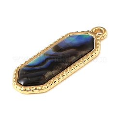 Pendentifs en coquille paua&nbsp;SSHEL-B145-01F-G