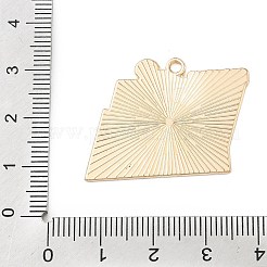 Pendentifs en alliage émaillé pour le sport&nbsp;LS-ENAM-I074-01G-17