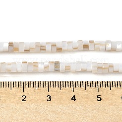 Нити бусин из натуральных пресноводных ракушек SSHEL-C013-04A