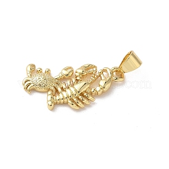 Латунные подвески&nbsp;KK-D502-27A-G