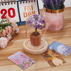 1 набор стеклянный Стеклянный Колпак-террариум с 1 шт. ручной работы крючком искусственный незабудка лесная в горшке DJEW-WR0001-01A