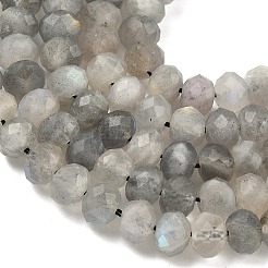 Fili di perline di labradorite naturale rondelle&nbsp;G-O095-04-A-01A