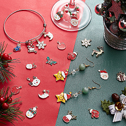 Подвески из сплава эмали 32шт 16 стиля ENAM-PH0001-74