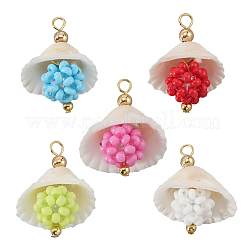 20 шт. подвески из ракушек и стеклянных бусин 5 цветов FIND-BBC0004-23