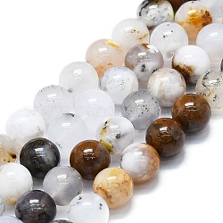Bianco naturale africano opale perle fili, tondo, 10mm, Foro: 1 mm, circa 37~39pcs/filo, 5.35''~15.75'' (39~40 cm)