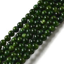 Eau douce naturelle de coquillage perles brins, ronde, teinte, vert foncé, 3mm, Trou: 0.5mm, Environ 124~132 pcs/chapelet, 14.96'' (38 cm)